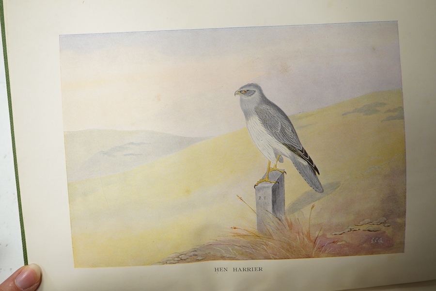 East-Bourn & Environs Guide, 1799 and Arnold - Birds of Eastbourne, 1936. Condition - poor to good